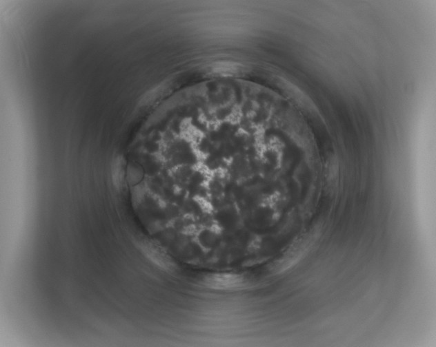 X0000111050361200907021624