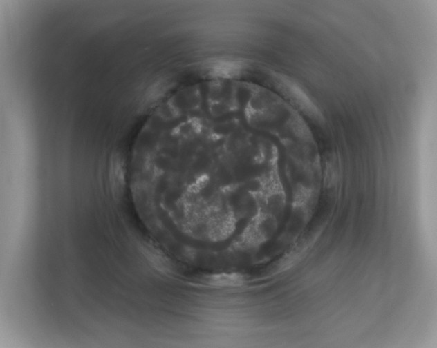 X0000111050363200907021624