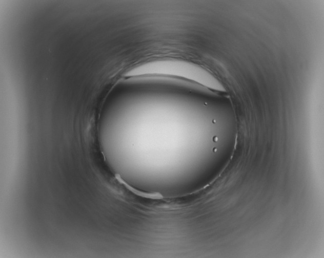 X0000111050364200907021624