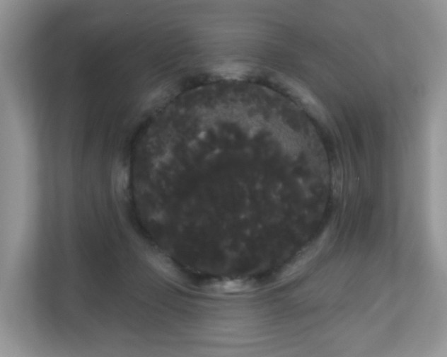 X0000111050365200907021624