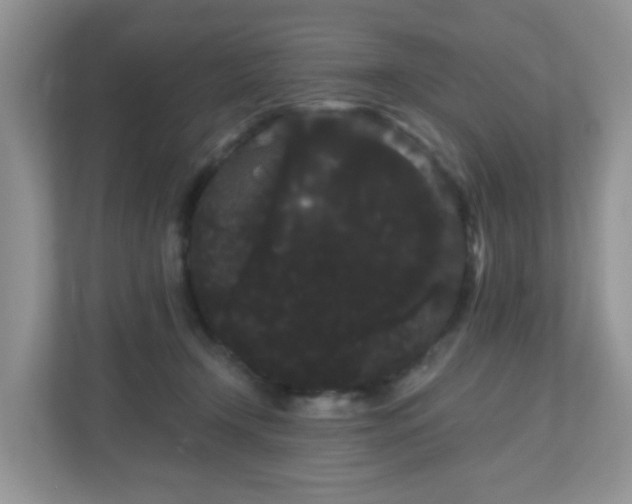 X0000111050366200907021624