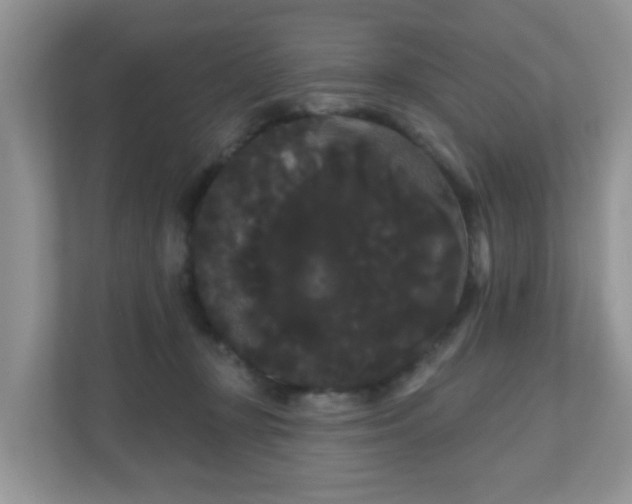 X0000111050367200907021624