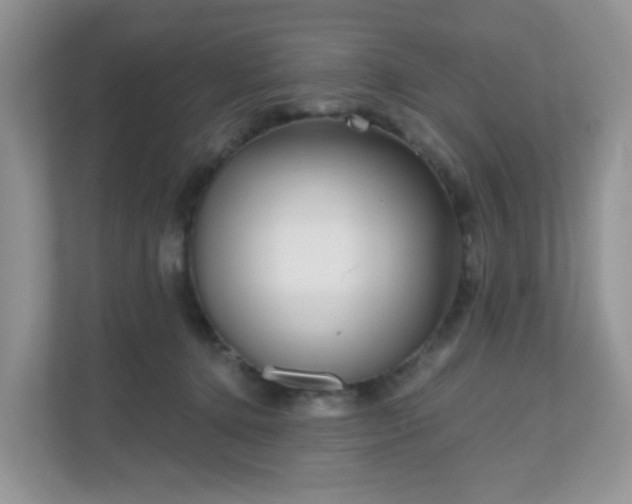 X0000111050368200907021624