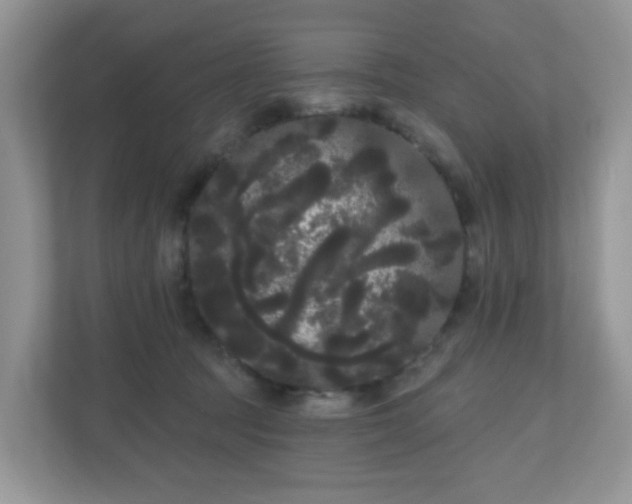 X0000111050369200907021624