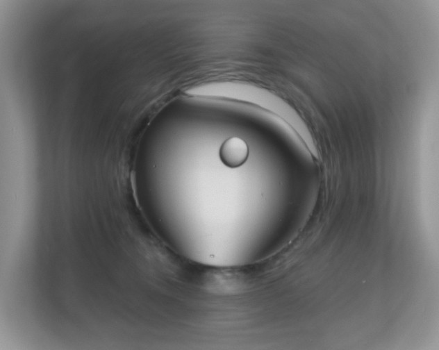 X0000111050372200907021624