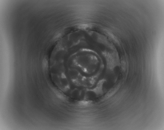 X0000111050375200907021624