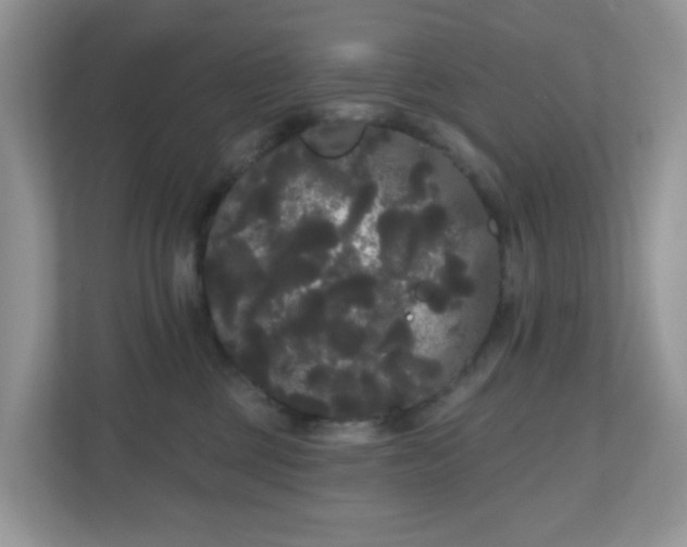 X0000111050377200907021624