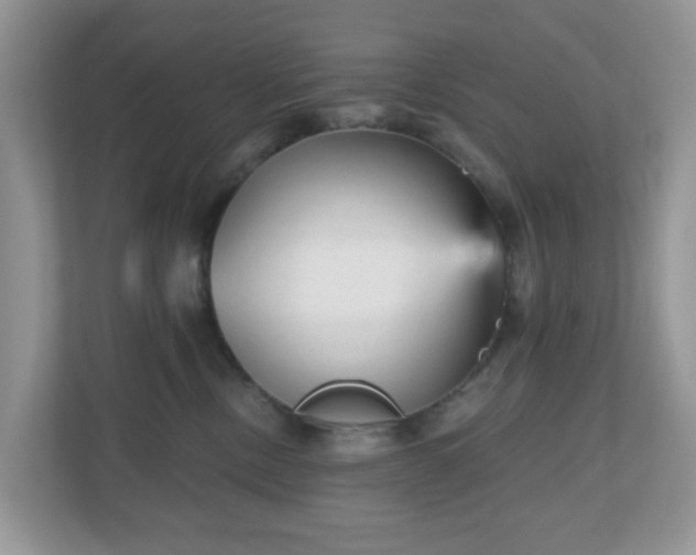 X0000111050378200907021624