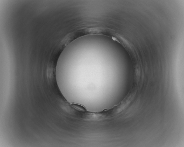 X0000111050379200907021624