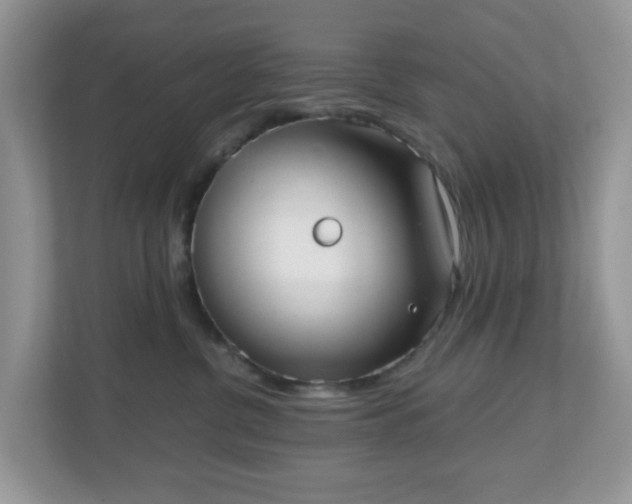 X0000111050380200907021624