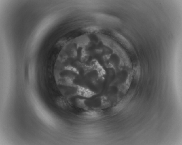 X0000111050381200907021624