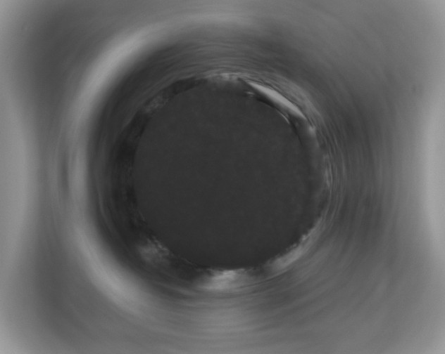 X0000111050382200907021624