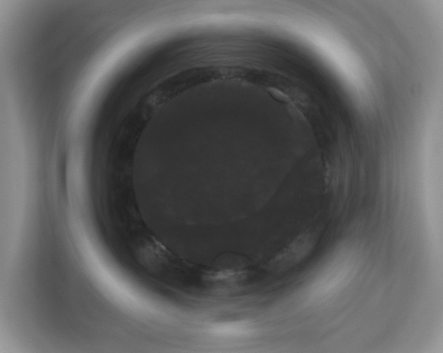 X0000111050383200907021624