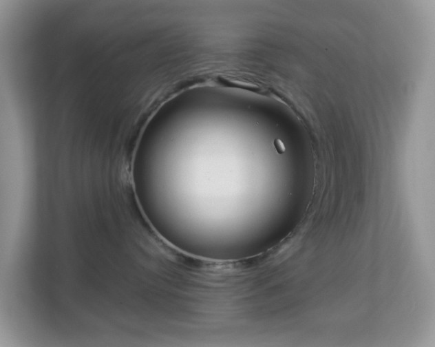 X0000111050384200907021624