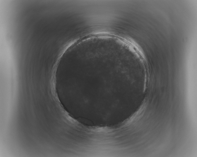 X0000111050385200907021624