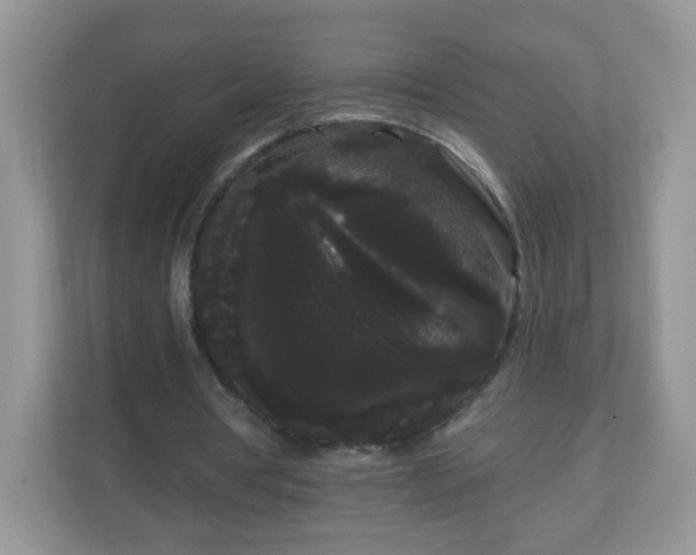 X0000111050386200907021624