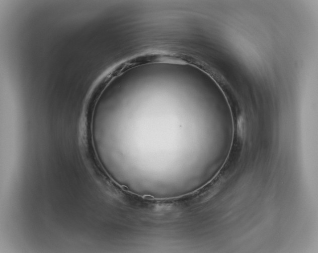 X0000111050388200907021624