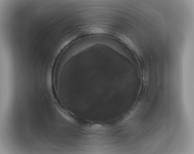 X0000111050390200907021624