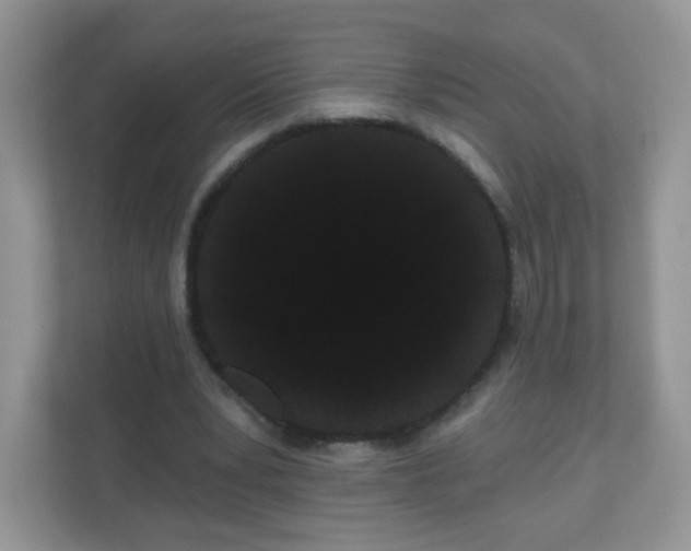 X0000111050391200907021624