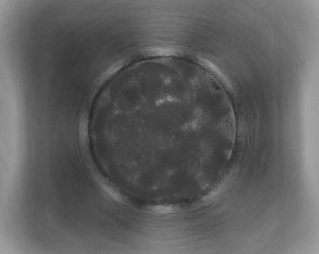 X0000111050394200907021624