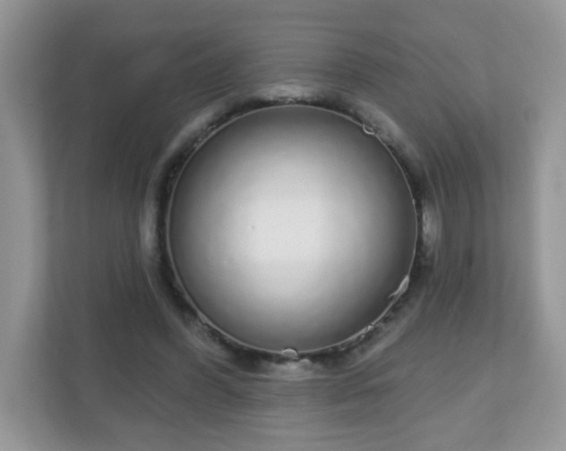 X0000111050396200907021624