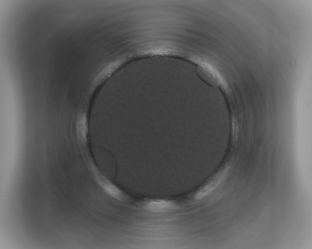 X0000111050397200907021624