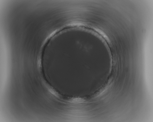 X0000111050399200907021624