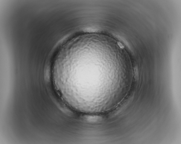 X0000111050400200907021624