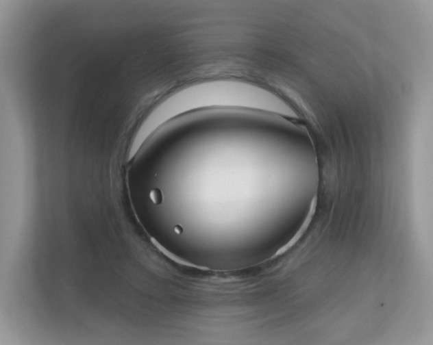 X0000111050403200907021624