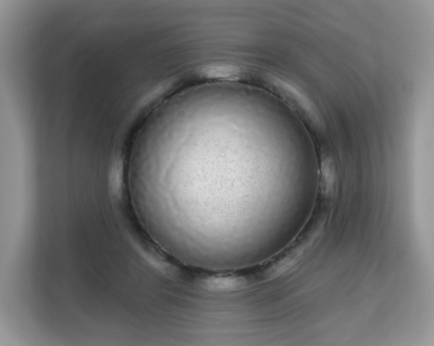 X0000111050404200907021624