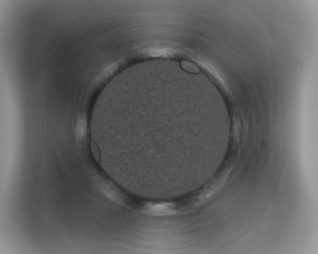 X0000111050407200907021623