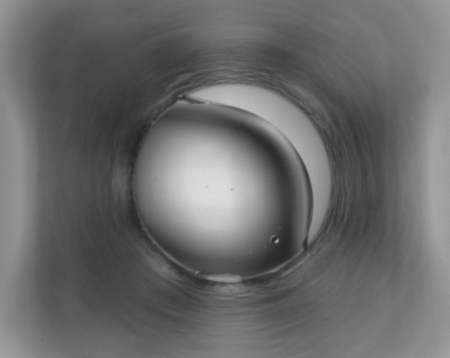 X0000111050409200907021623