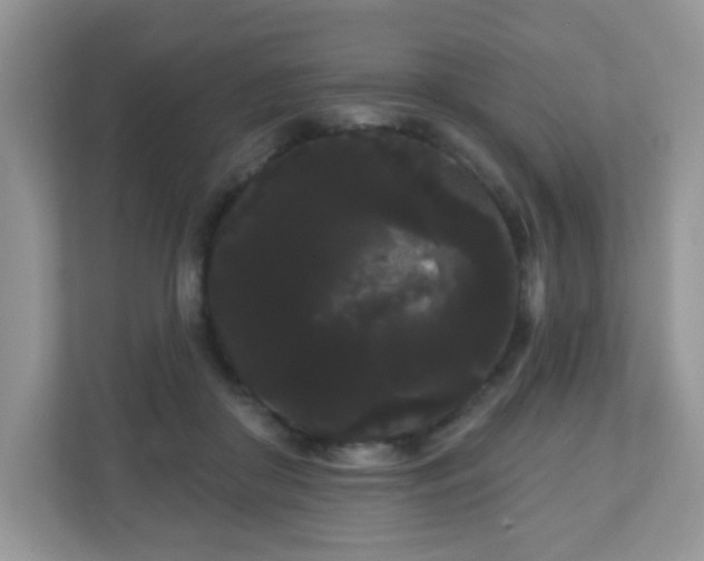 X0000111050410200907021623