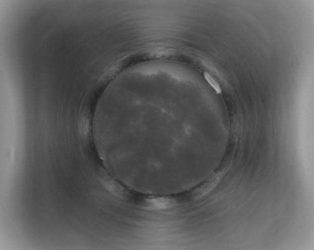 X0000111050417200907021623