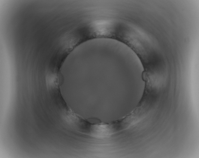 X0000111050419200907021623