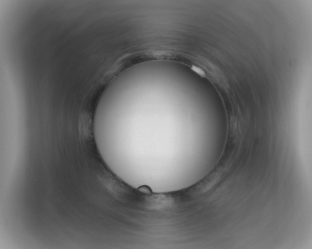 X0000111050421200907021623