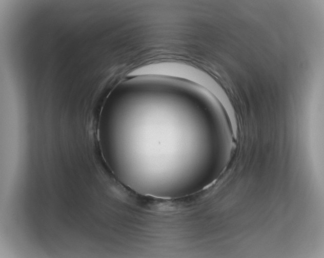 X0000111050423200907021623