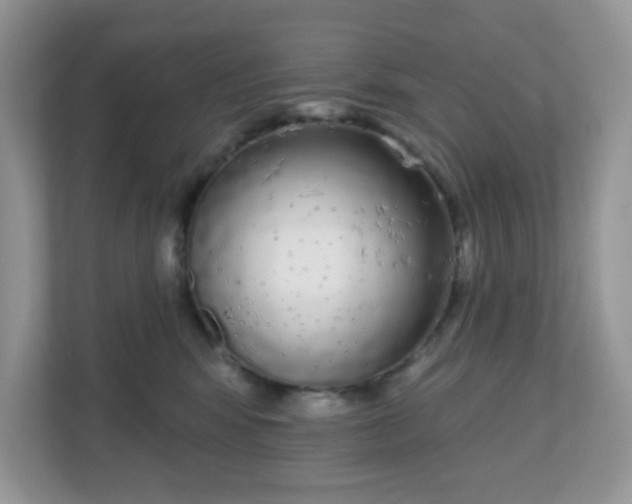 X0000111050424200907021623