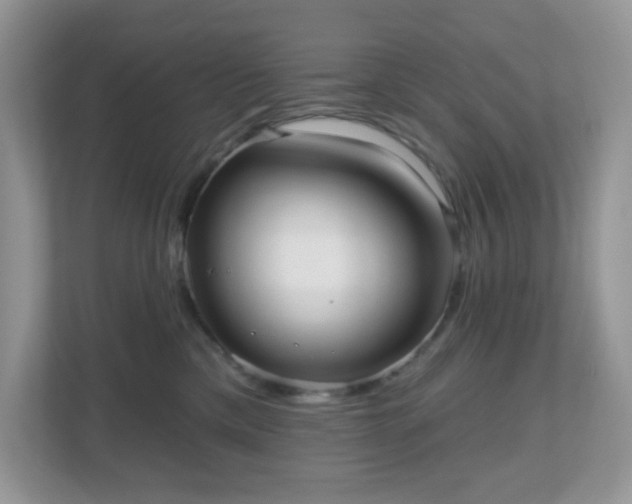 X0000111050425200907021623