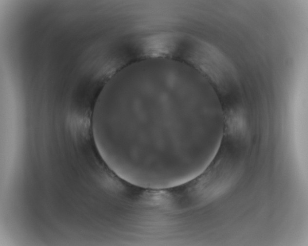 X0000111050427200907021623