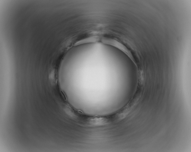 X0000111050428200907021623