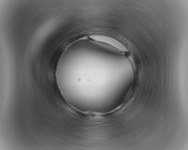 X0000111050429200907021623