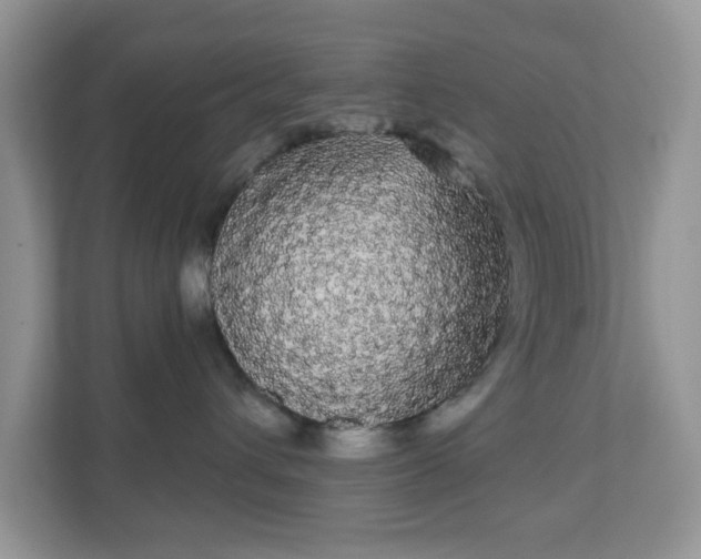 X0000111050432200907021623