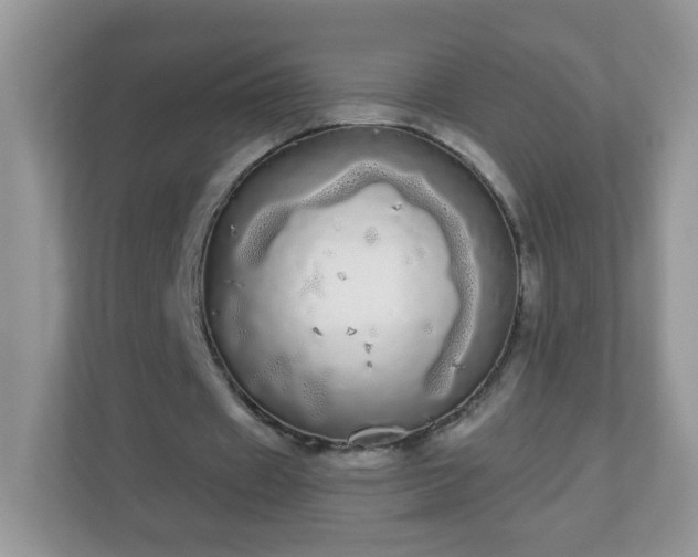 X0000111050433200907021623