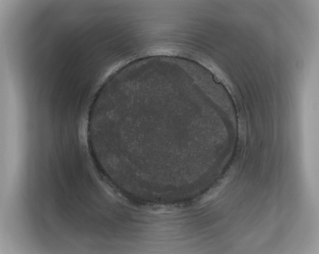 X0000111050434200907021623