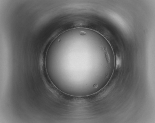 X0000111050435200907021623