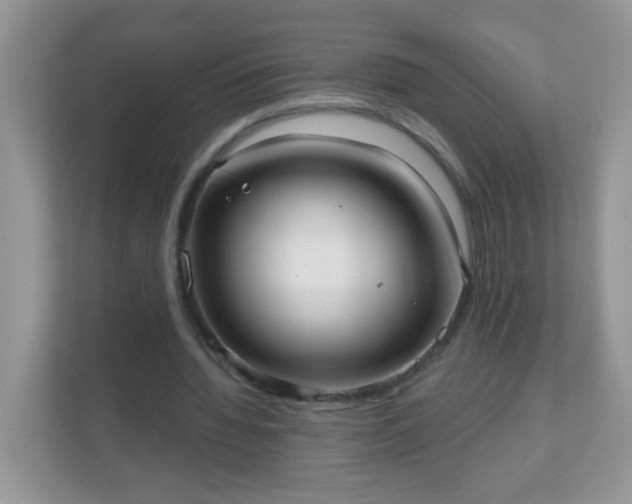 X0000111050436200907021623