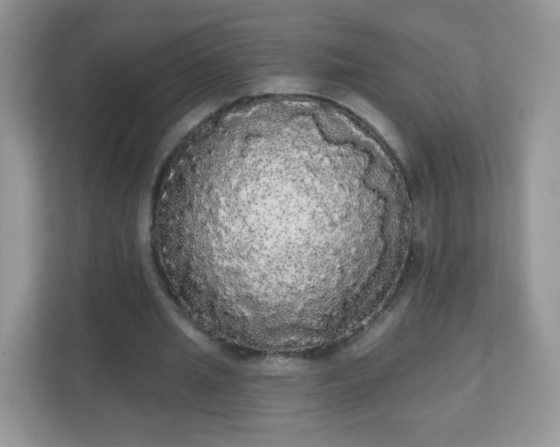 X0000111050437200907021623