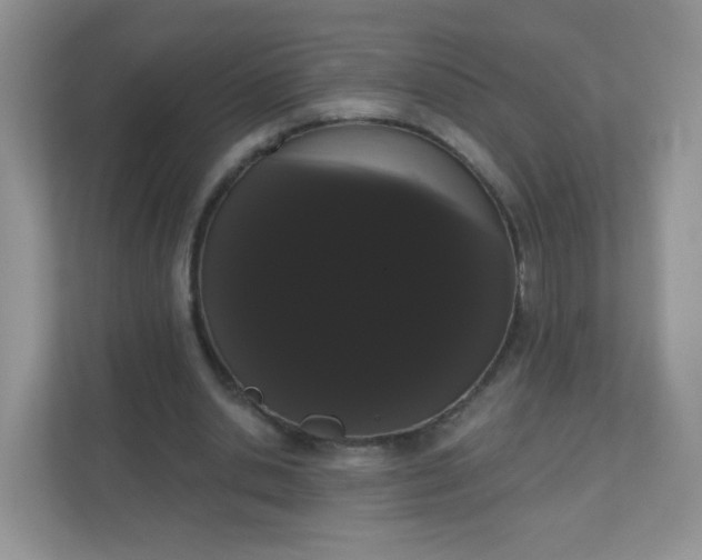 X0000111050438200907021623