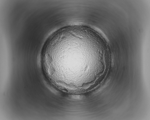 X0000111050439200907021623